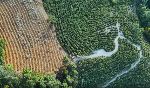实际举动为生态维护贡献力量足见魔域玩家对公益事业的热心与责任感